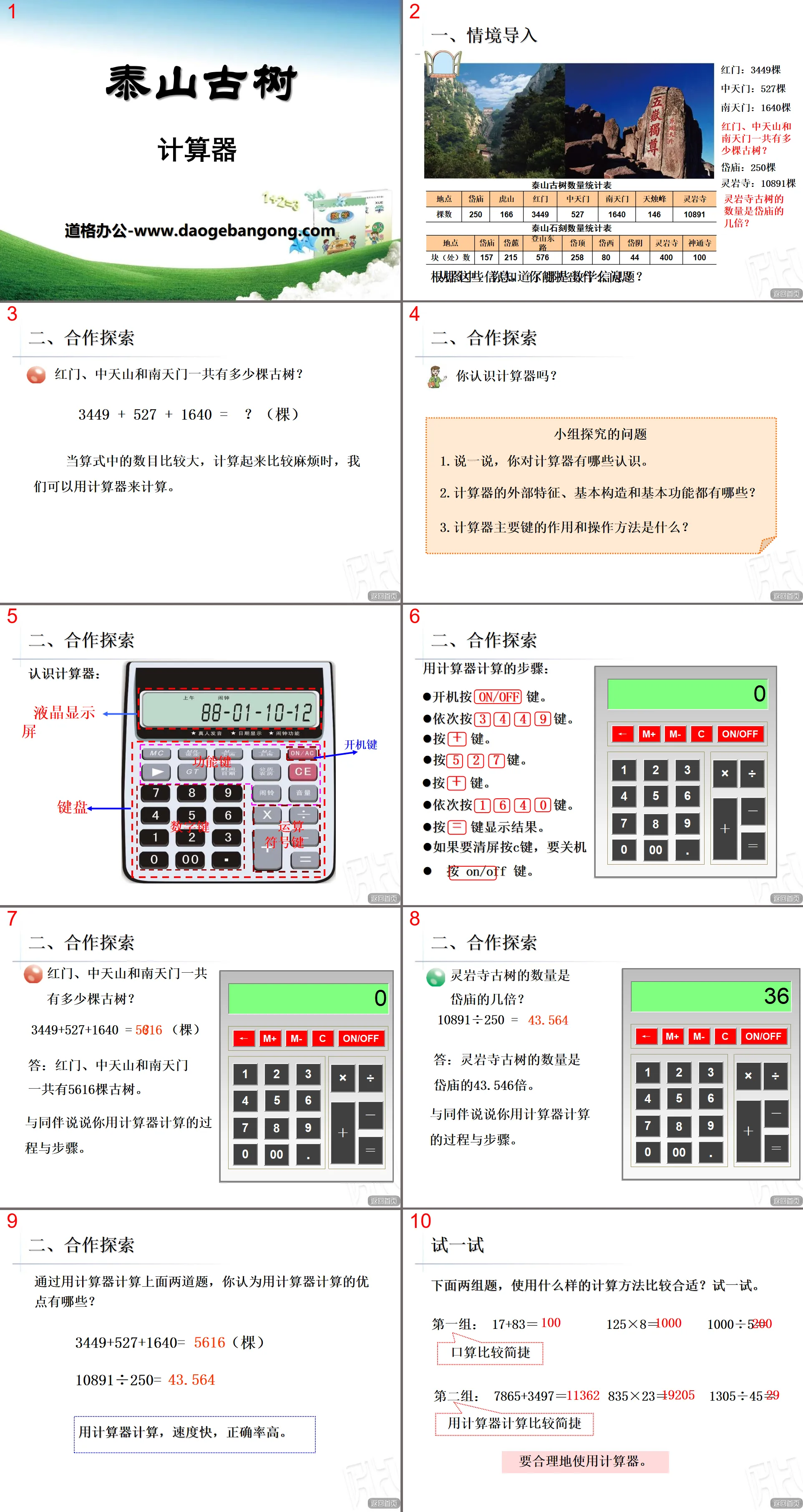 《泰山古树》PPT课件2
