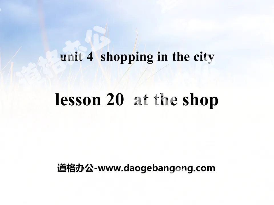 《At the Shop》Shopping in the City PPT教学课件
