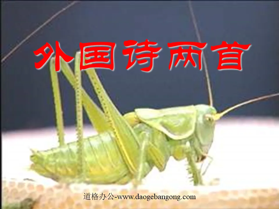 Two foreign poems "The Grasshopper and the Cricket, Night" PPT Courseware 4