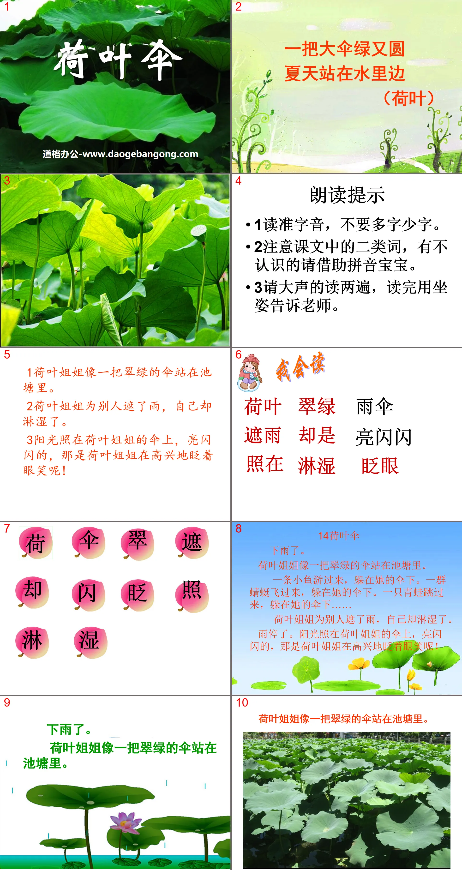 "Lotus Leaf Umbrella" PPT courseware 3