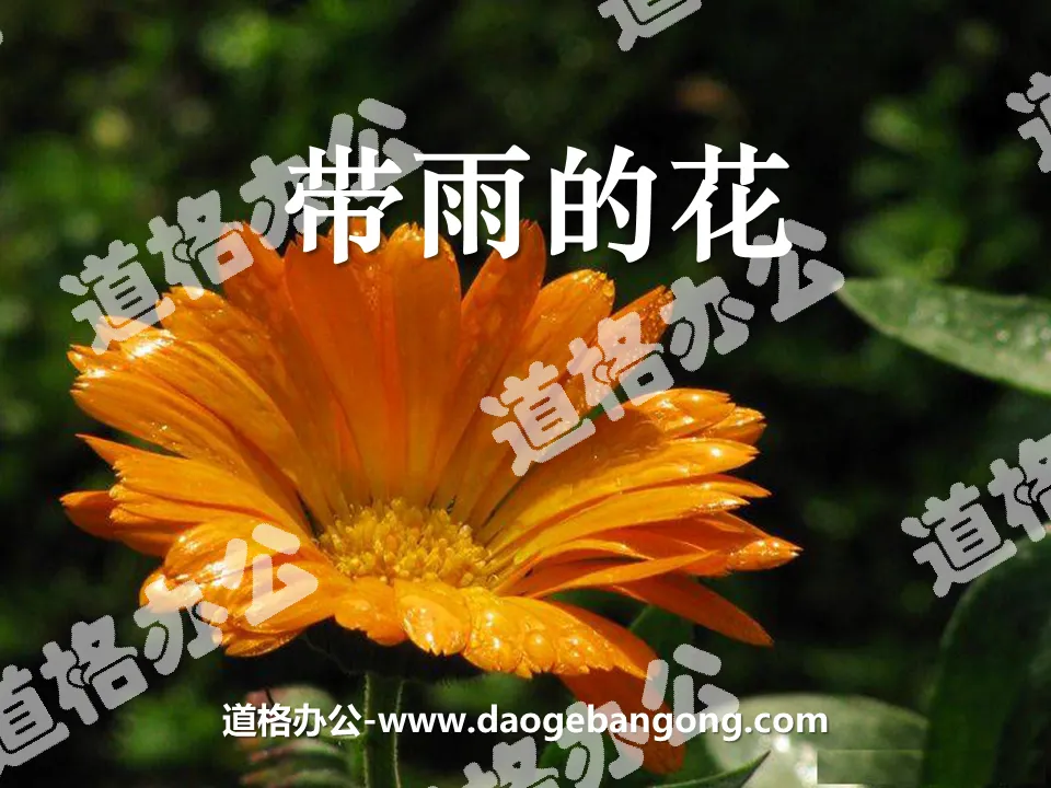 "Flowers with Rain" PPT Courseware 3