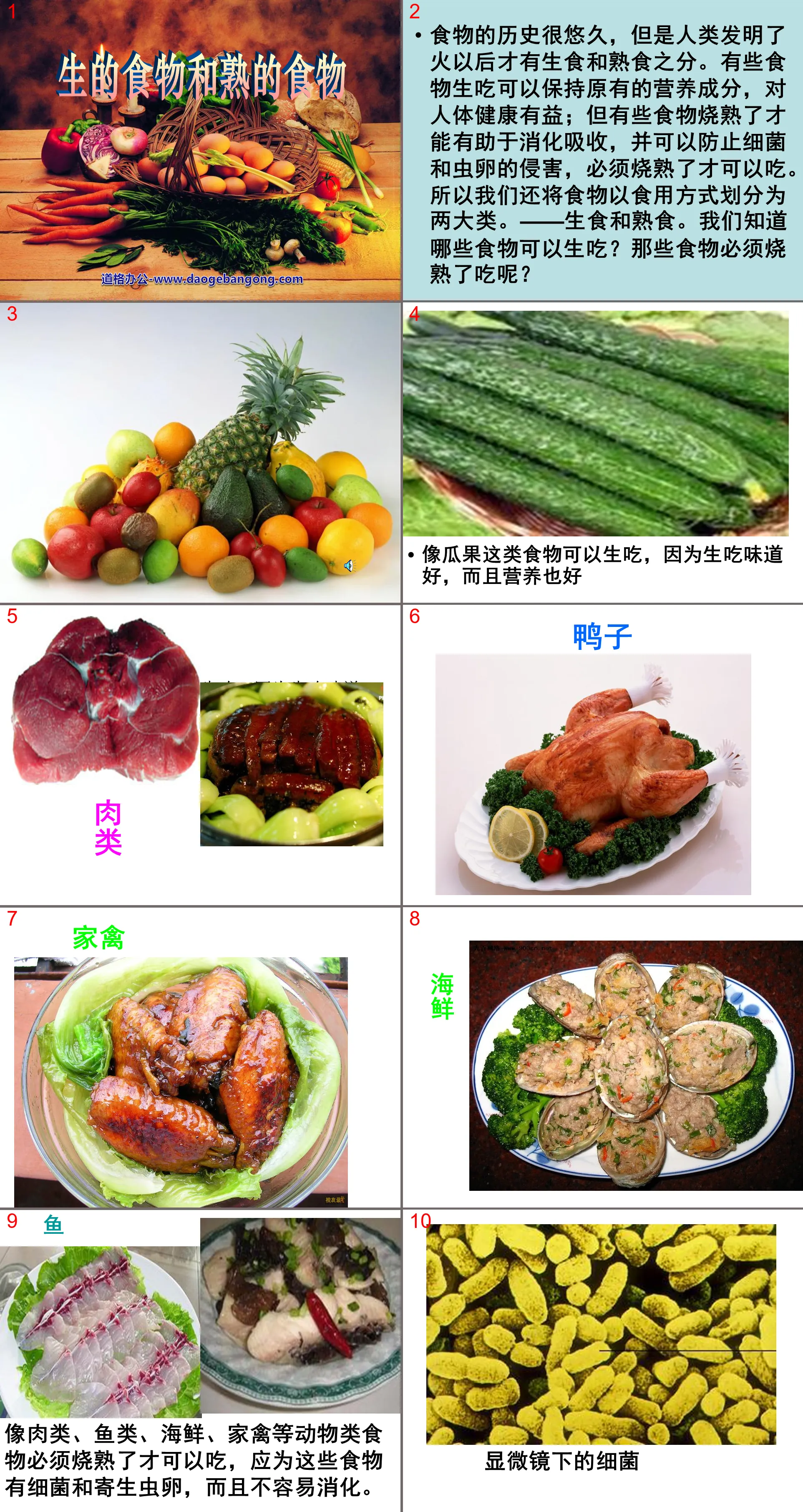 《生的食物和熟的食物》食物PPT課程2