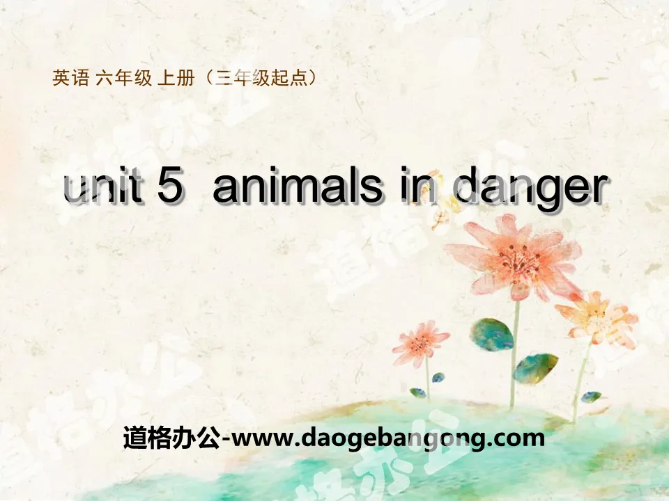 "Animals in danger" PPT courseware