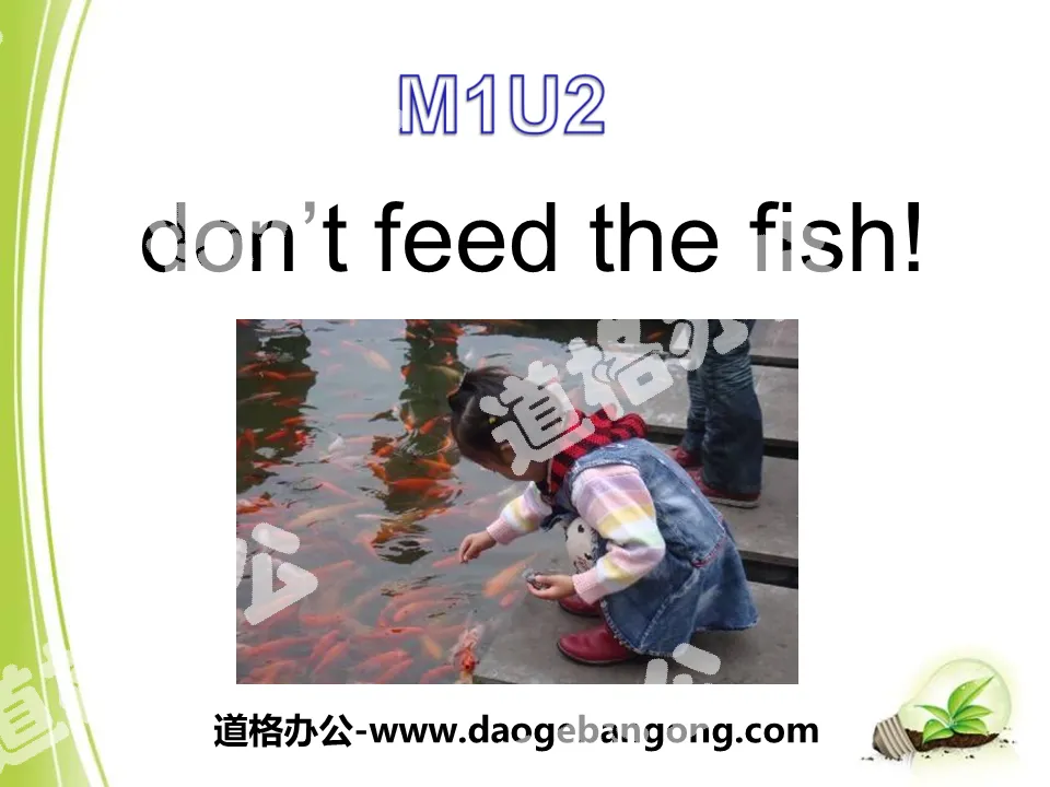 《Don't feed the fish》PPT课件3
