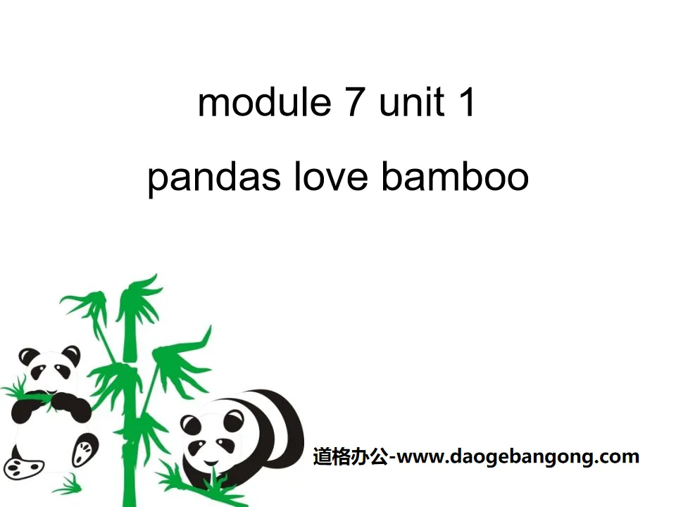 《Pandas love bamboo》PPT課件3