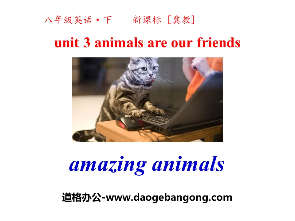 《Amazing Animals》Animals Are Our Friends PPT