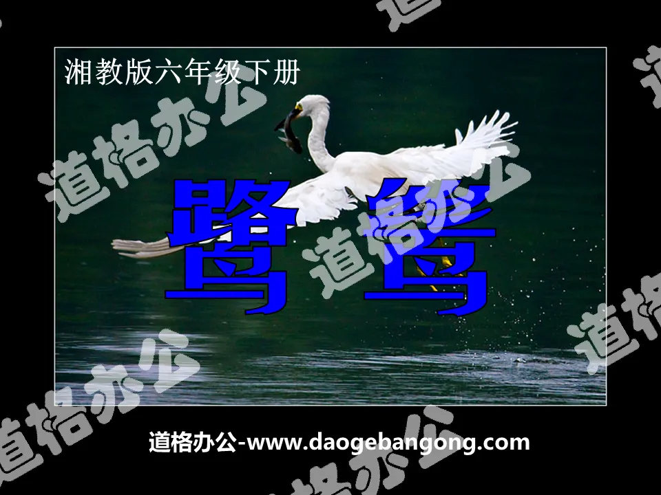 "Egret" PPT courseware