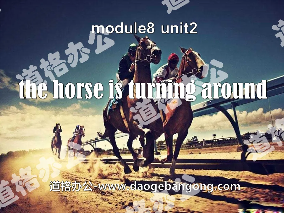 《The horse is turning around》PPT课件2

