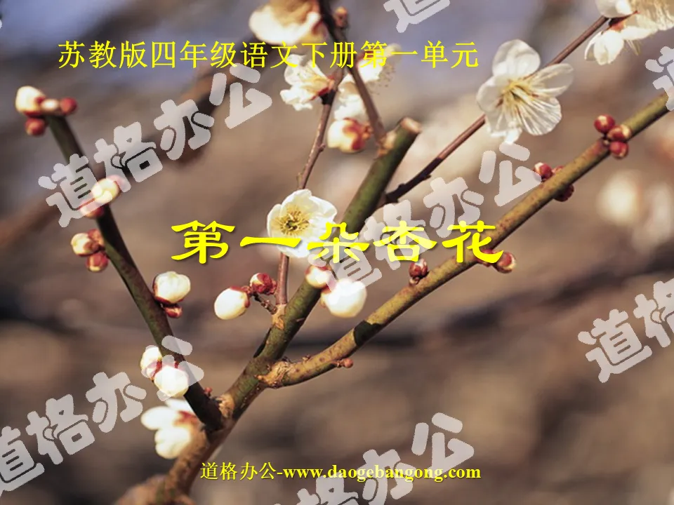 "The First Apricot Blossom" PPT courseware