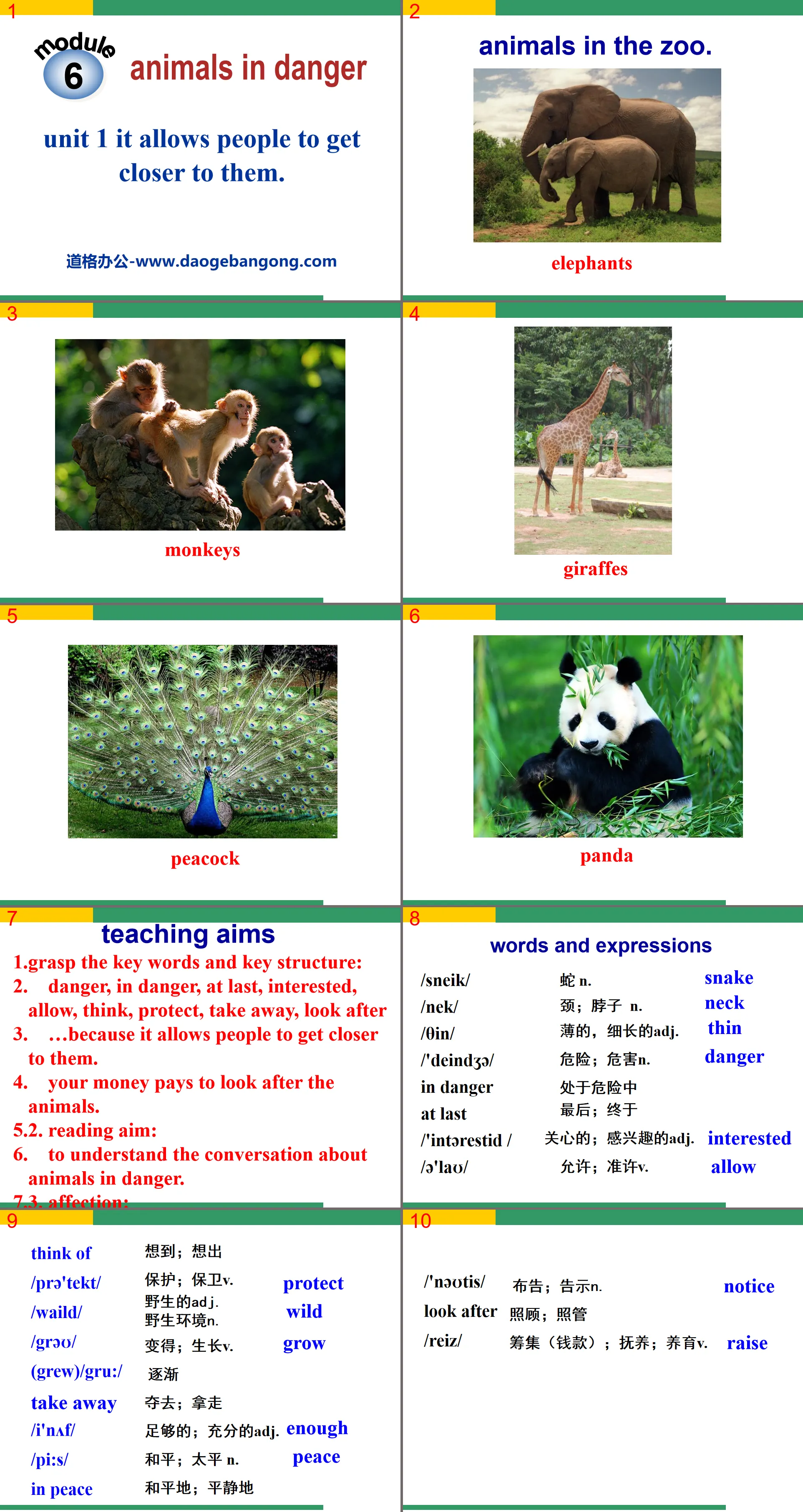 《It allows people to get closer to them》Animals in danger PPT courseware