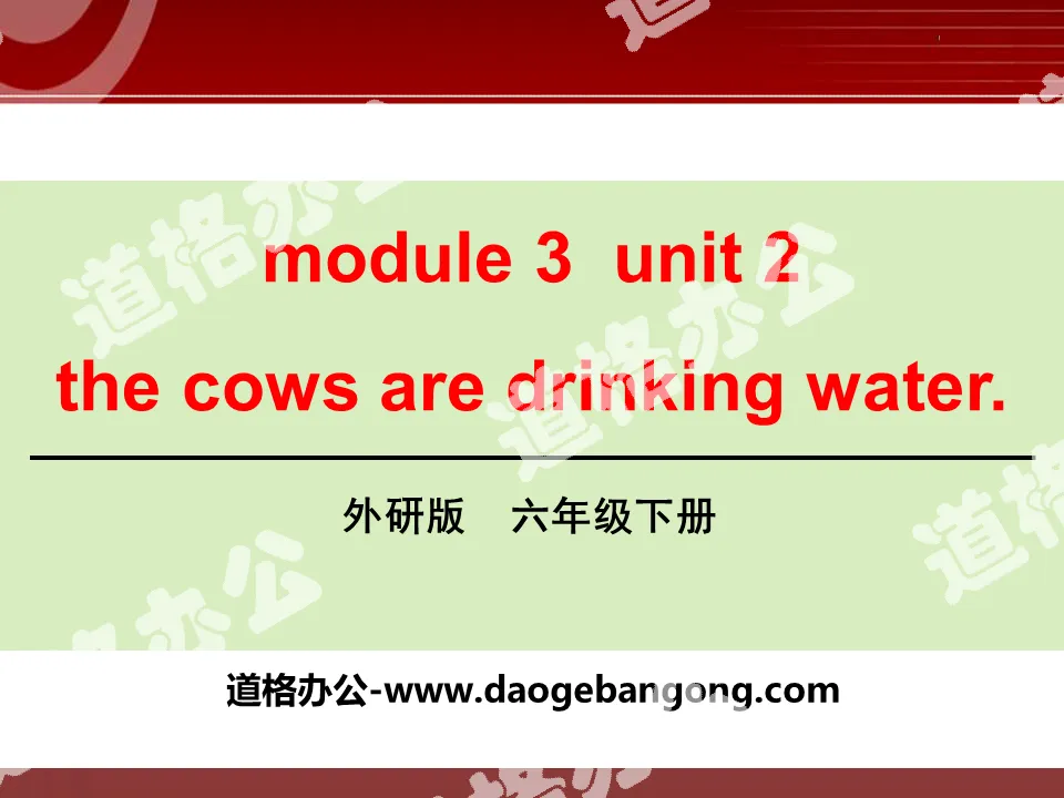 《The cows are drinking water》PPT课件2
