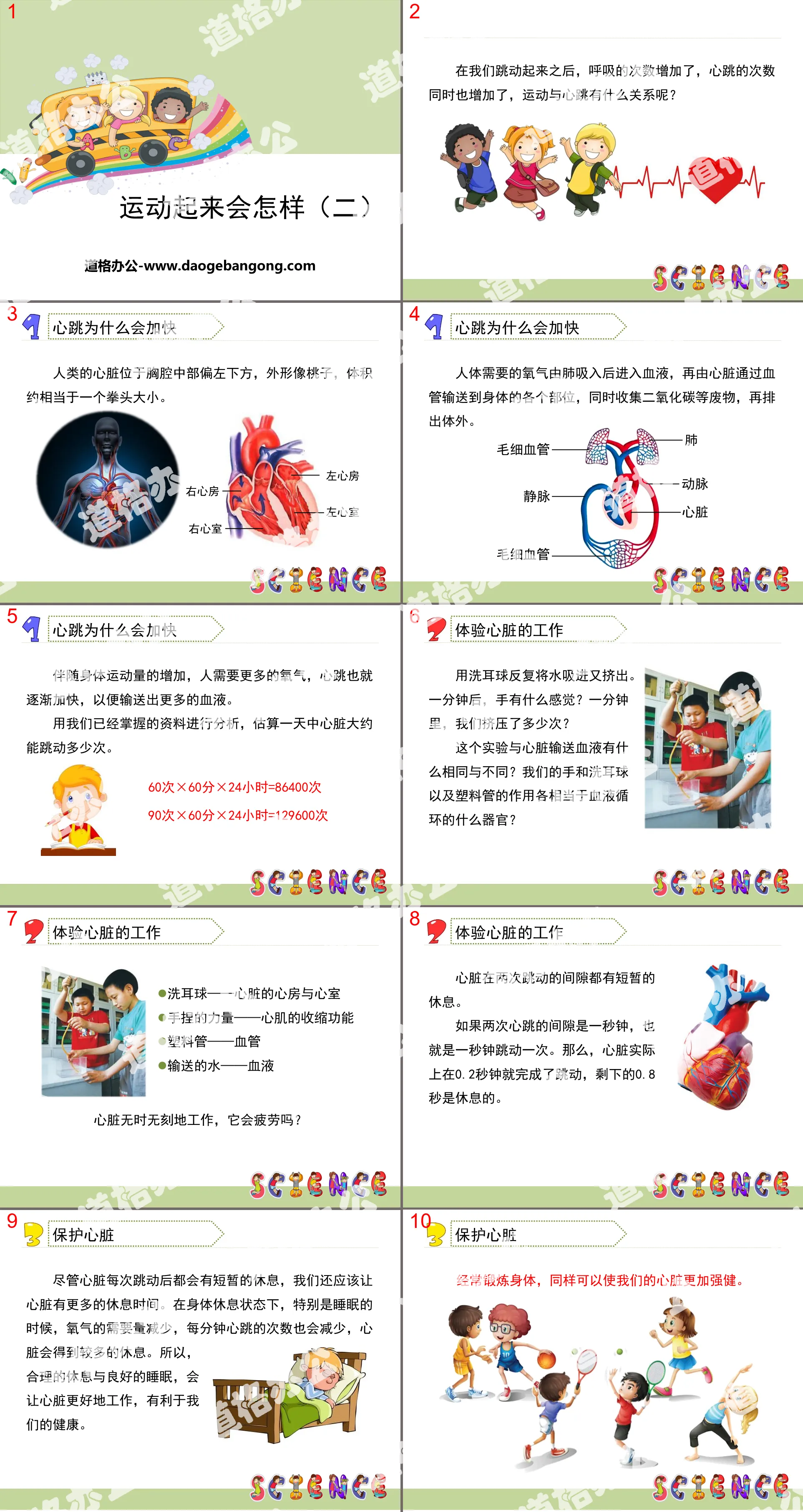 《运动起来会怎样（二）》我们的身体PPT
