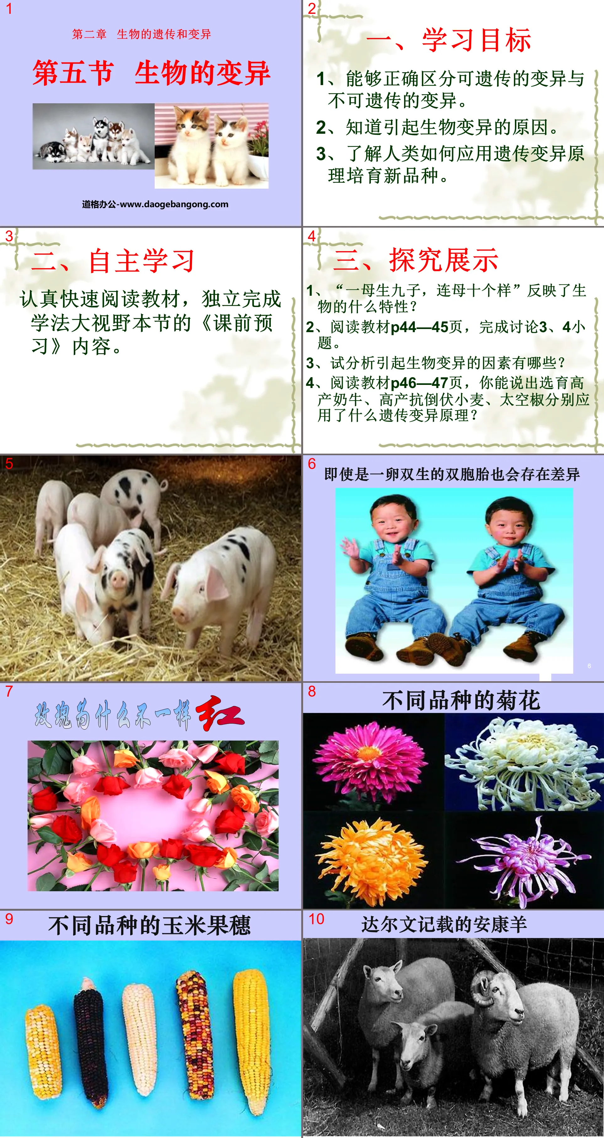 《生物的变异》生物的遗传和变异PPT课件3
