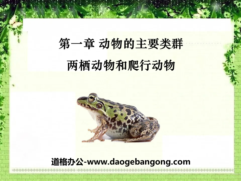 "Amphibians and Reptiles" Main Groups of Animals PPT Courseware 2
