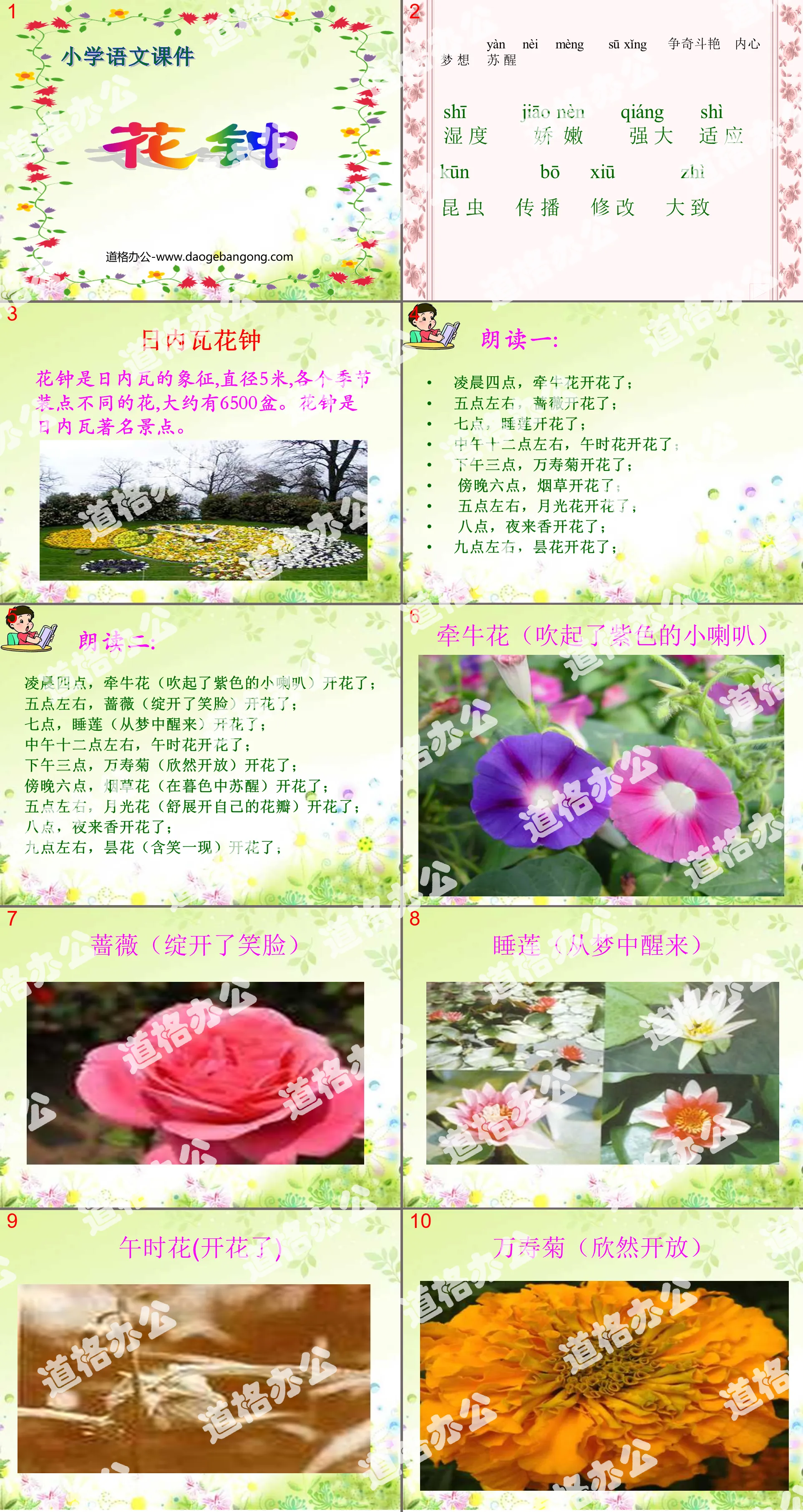 "Flower Clock" PPT teaching courseware download