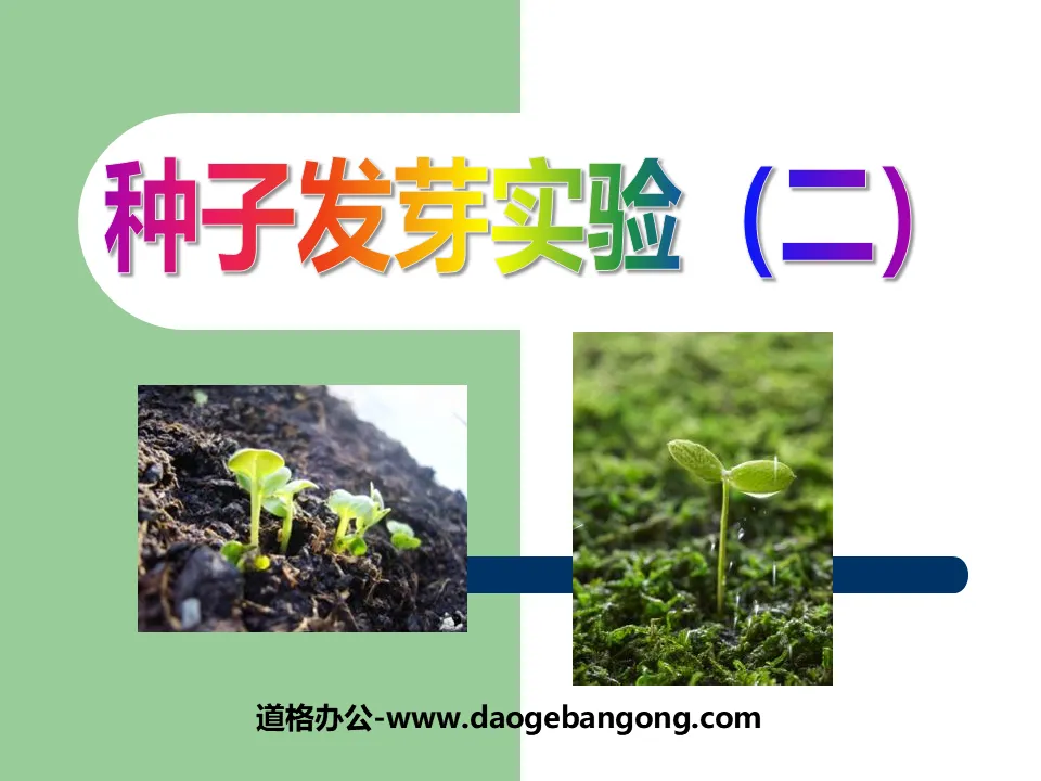 "Seed Germination Experiment (2)" Biology and Environment PPT Courseware 3