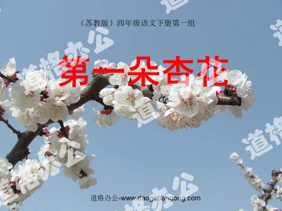 "The First Apricot Blossom" PPT Courseware 2
