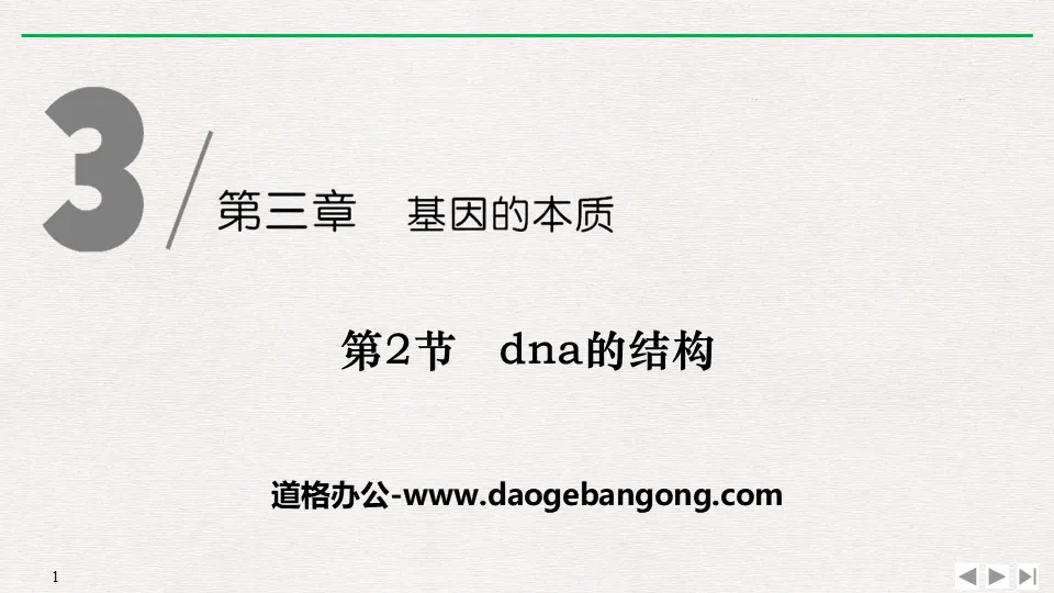 《DNA的結構》基因的本質PPT下載