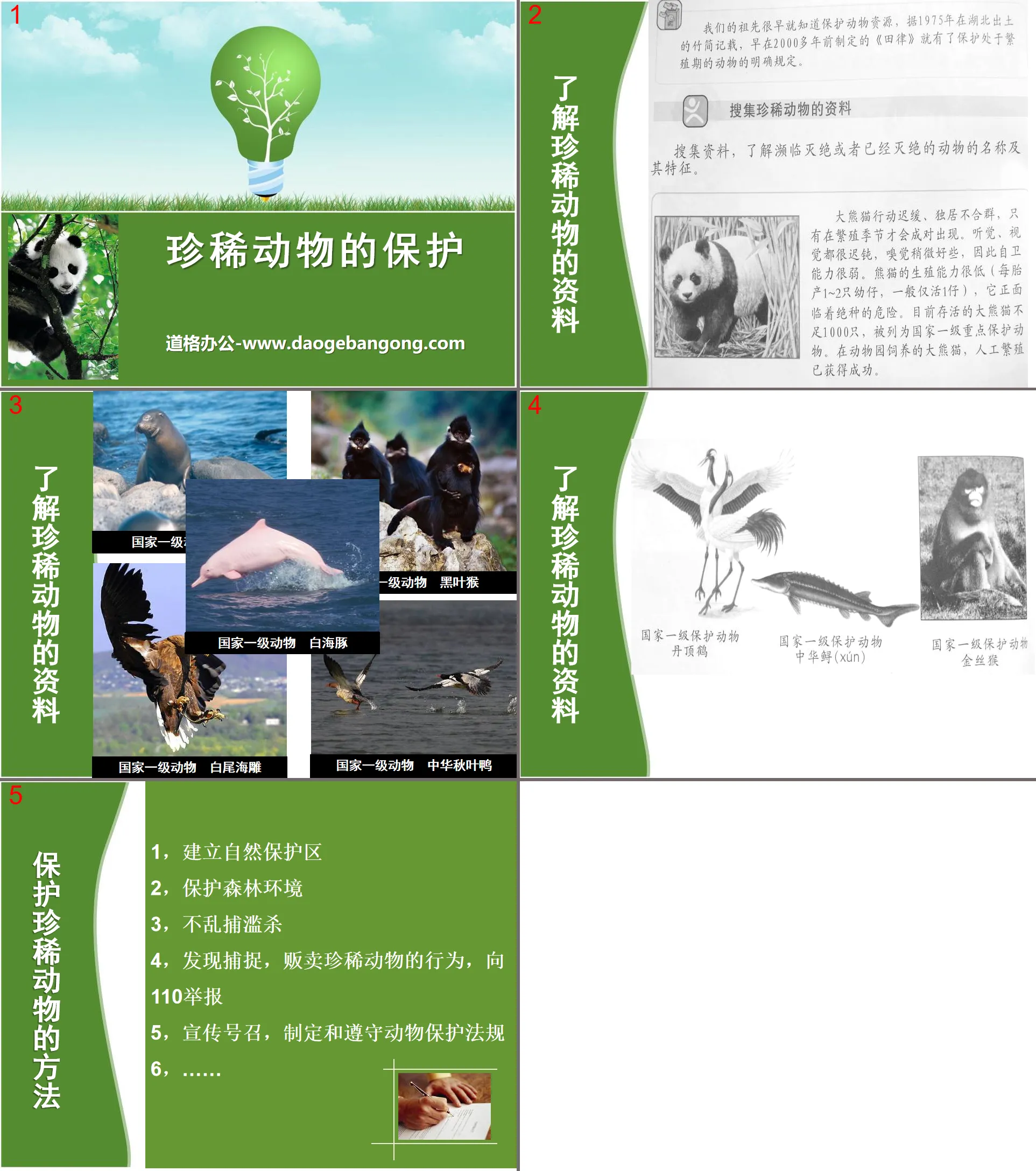 "Protection of Rare Animals" a variety of animal PPT courseware