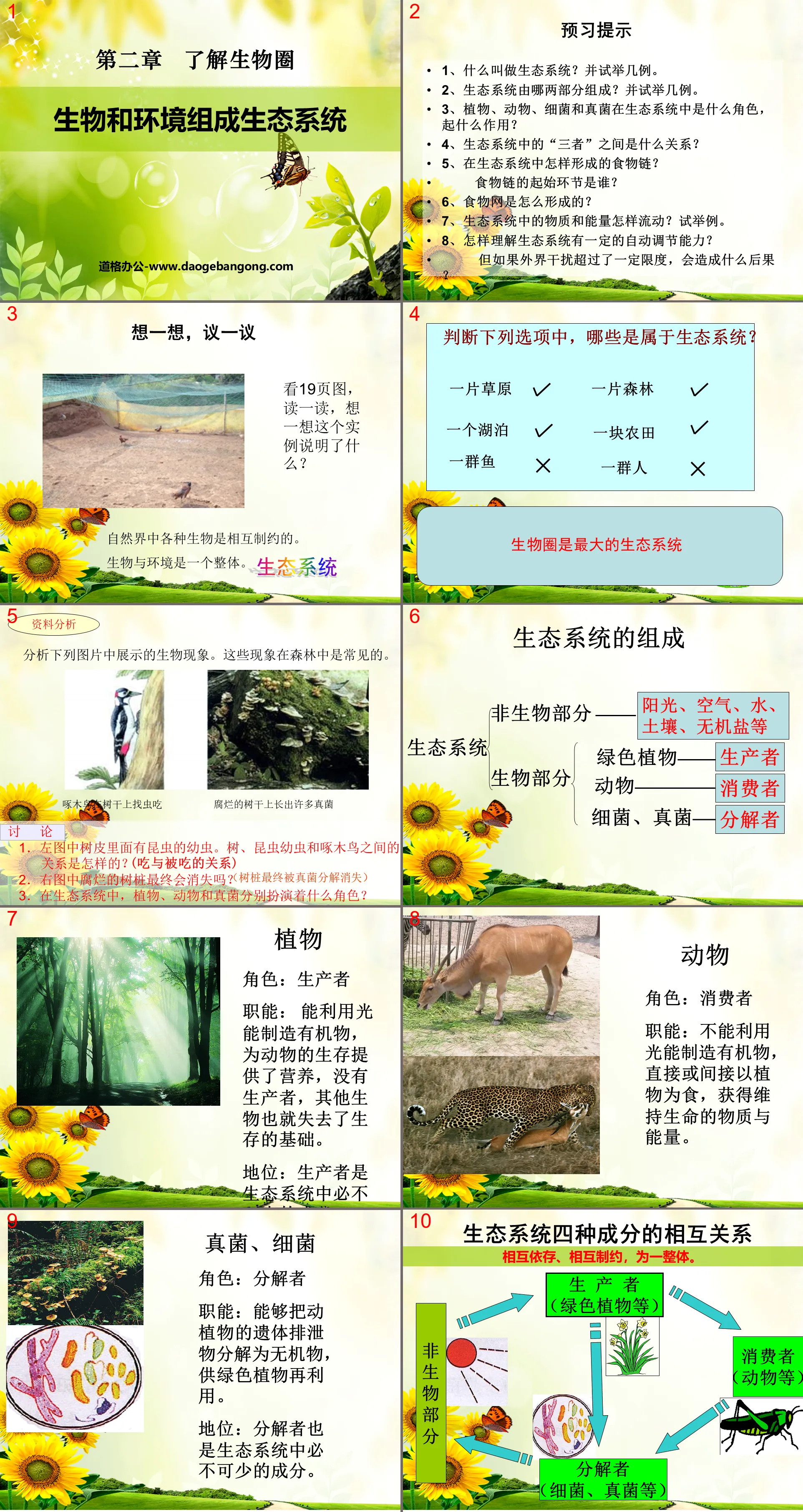 《生物与环境组成生态系统》了解生物圈PPT课件7
