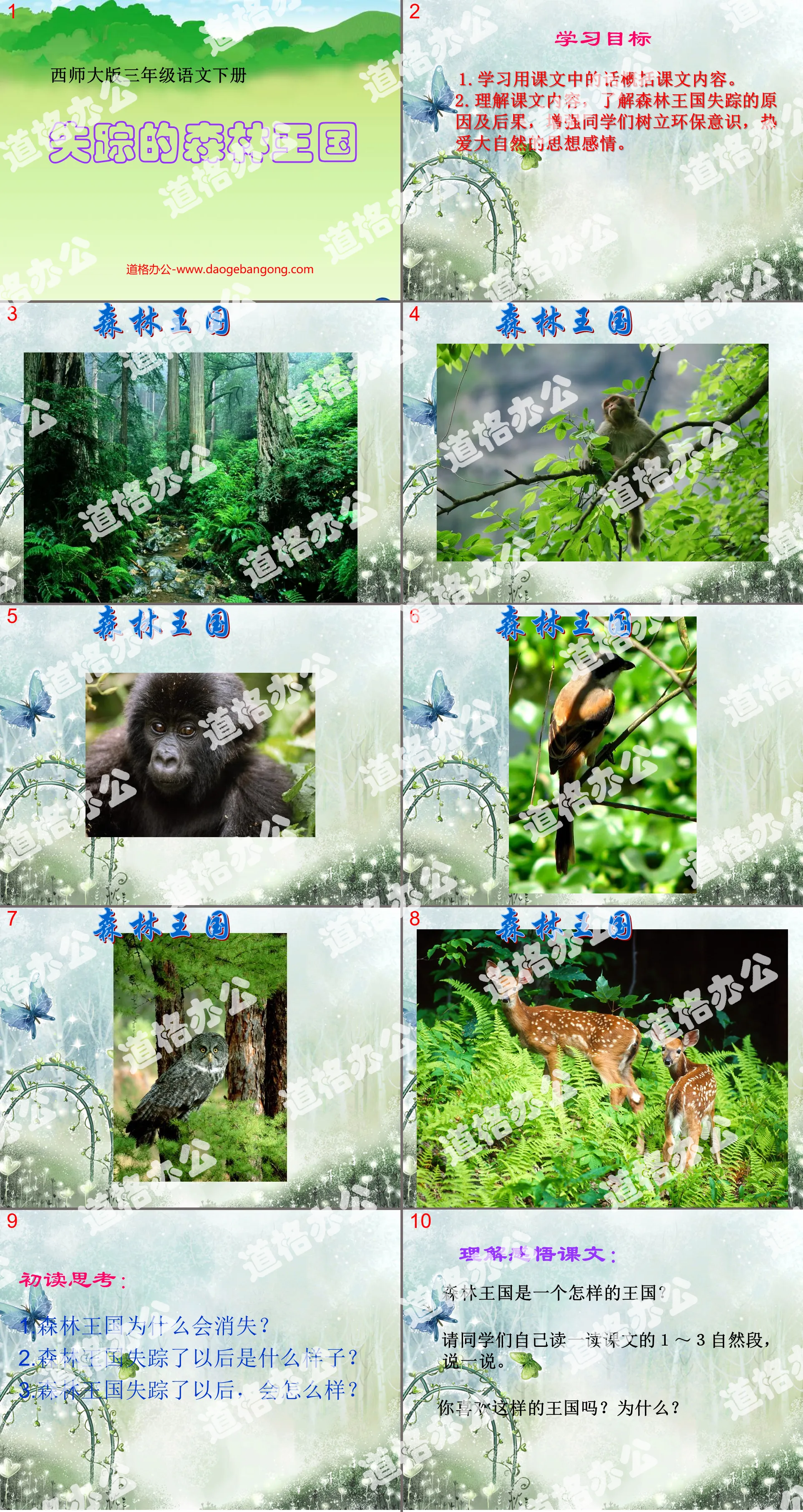 "The Lost Forest Kingdom" PPT Courseware 2