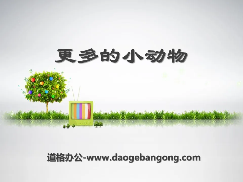 《更多的小动物》寻访校园里的动植物PPT课件
