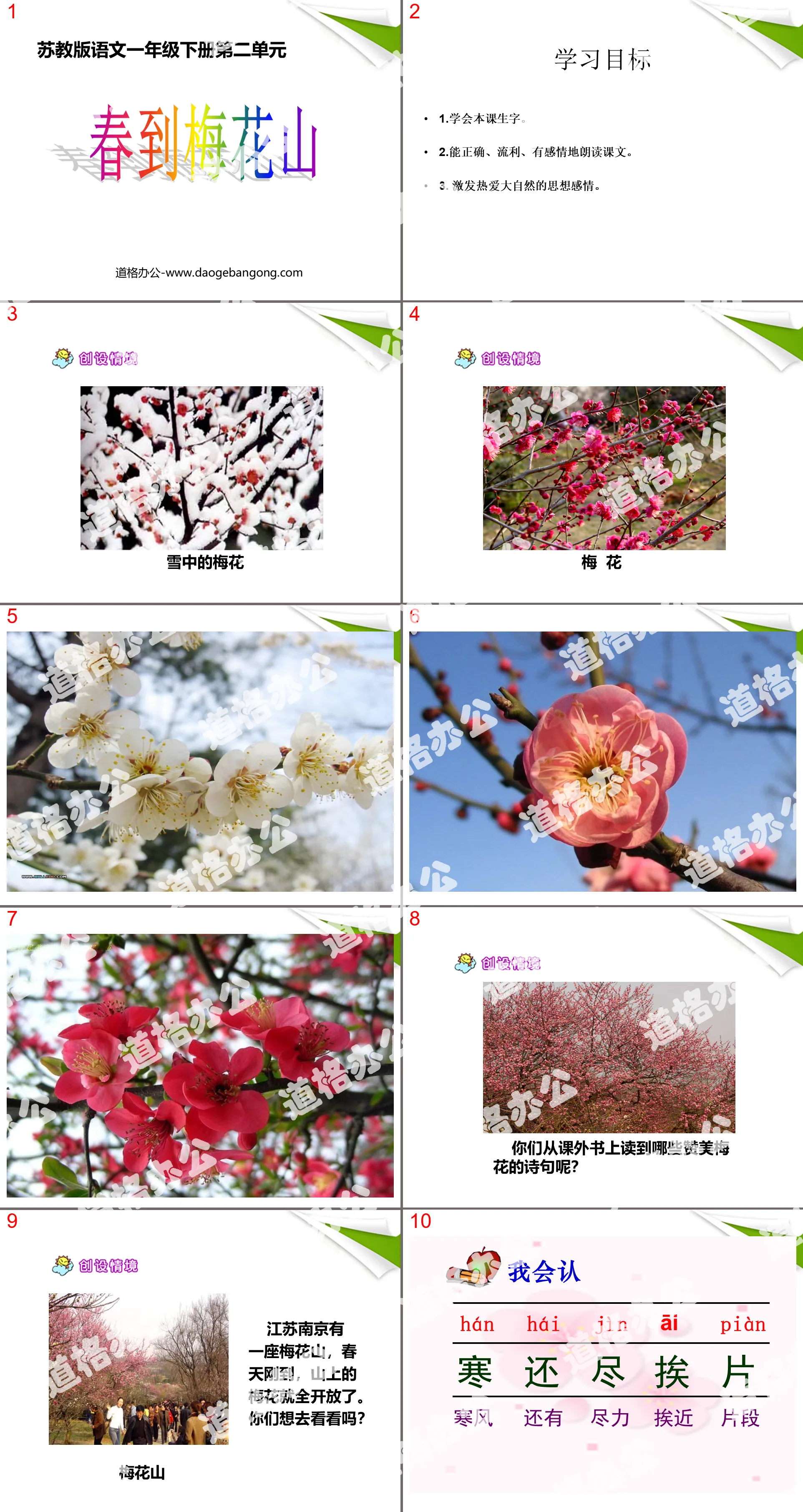 "Spring Arrives at Plum Blossom Mountain" PPT Courseware 4