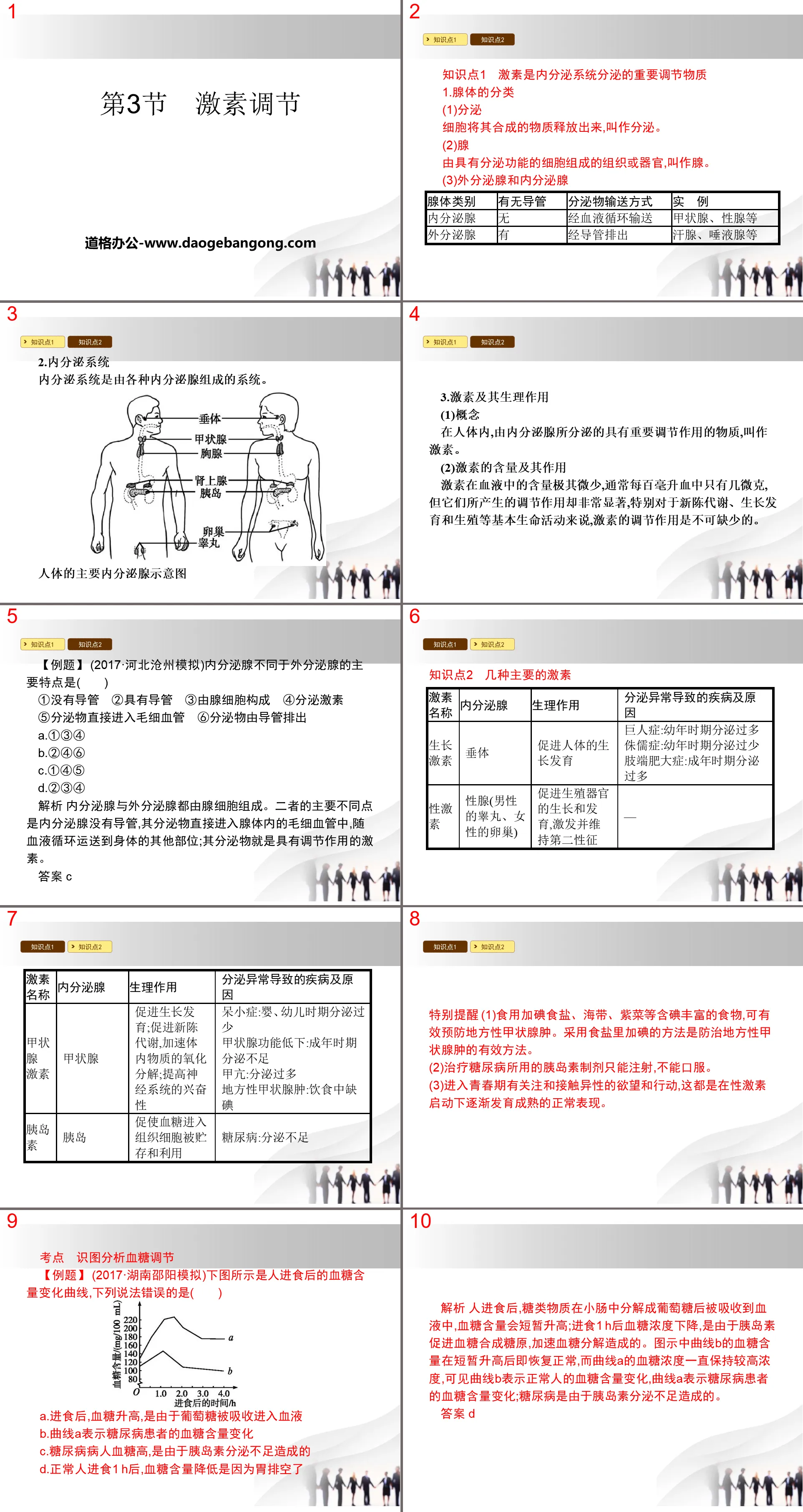 《激素调节》PPT下载
