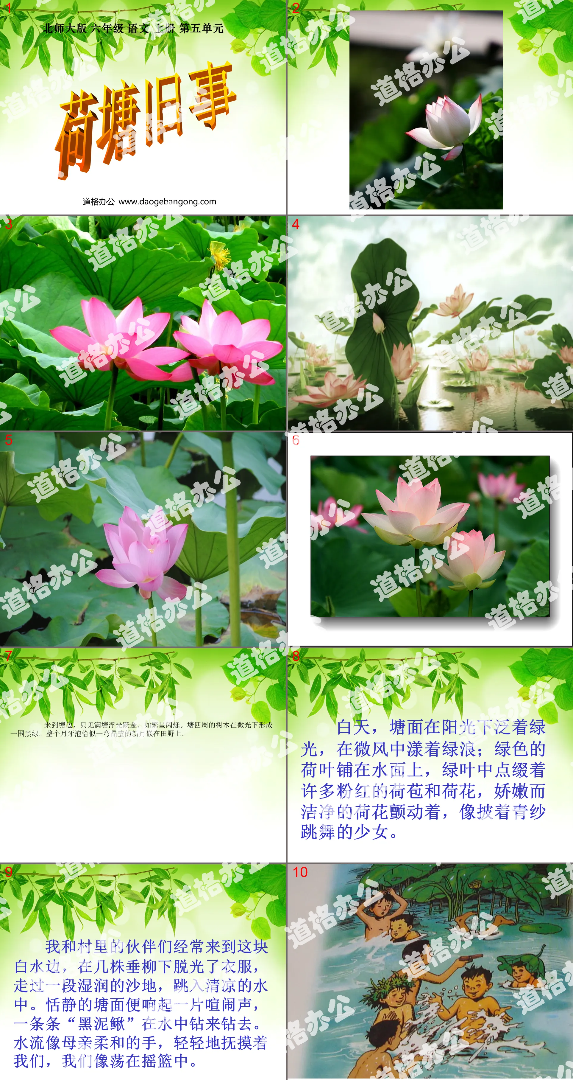 "Old Things in the Lotus Pond" PPT Courseware 4