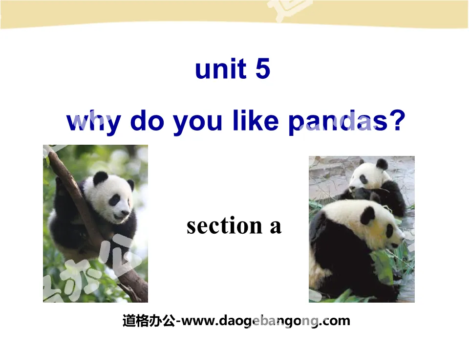 《Why do you like pandas?》PPT课件6
