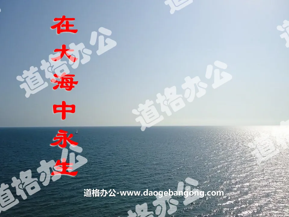 《在大海中永生》PPT课件4
