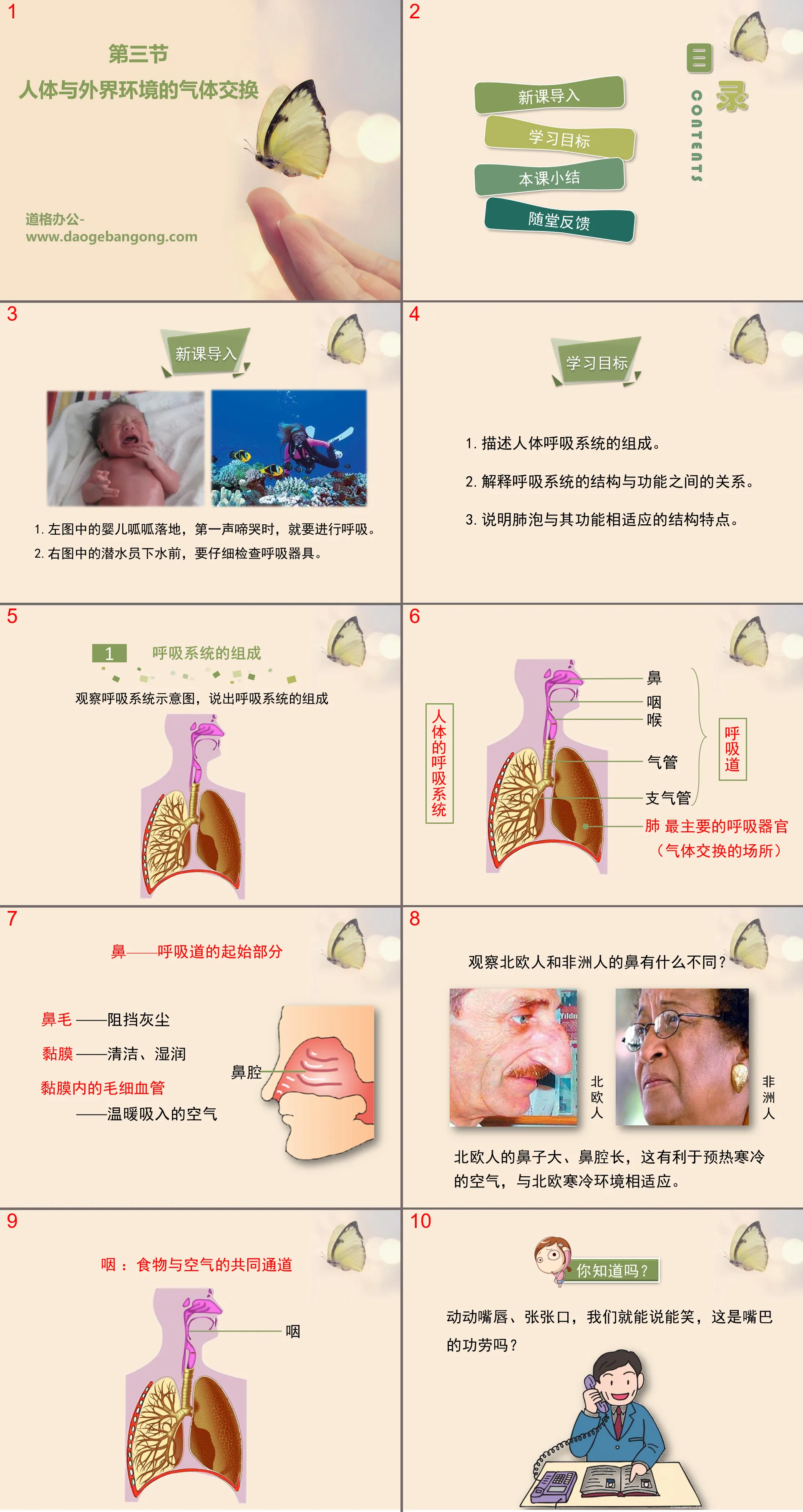 《人体和外界环境的气体交换》PPT
