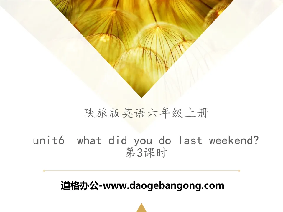 《What Did You Do Last Weekend?》PPT课件下载