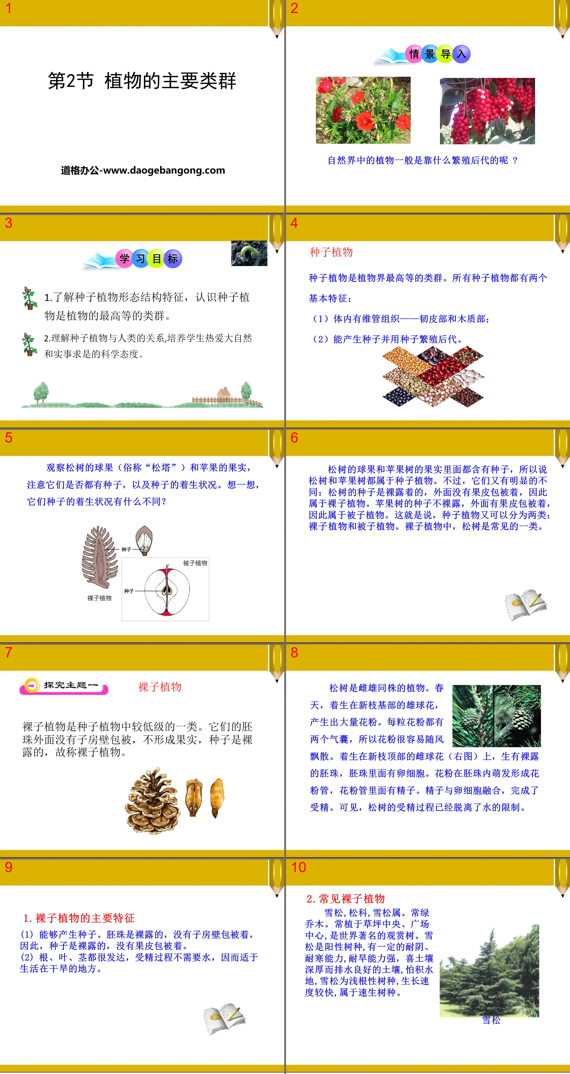 "Main Groups of Plants" PPT download