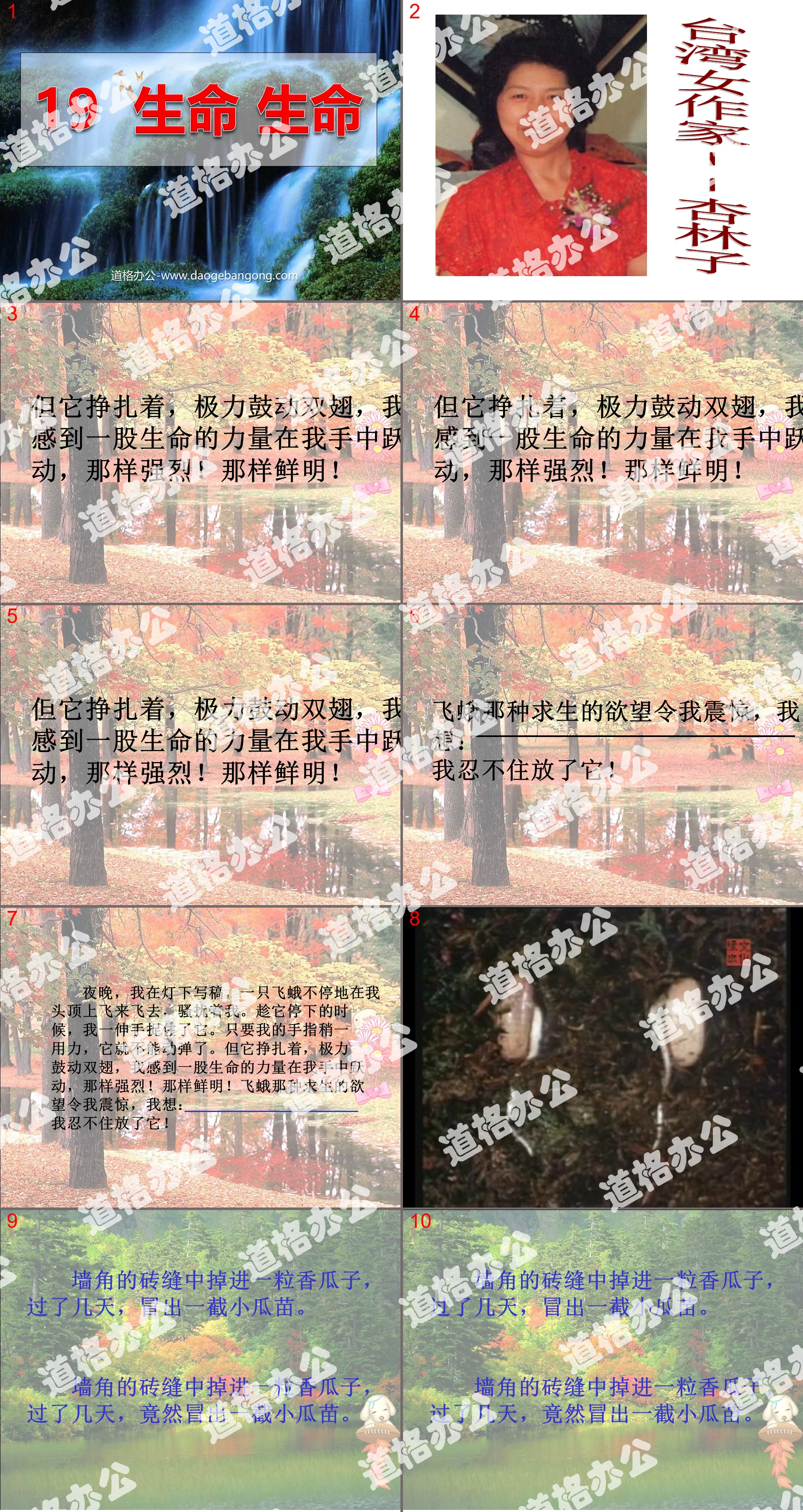 《生命生命》PPT课件7
