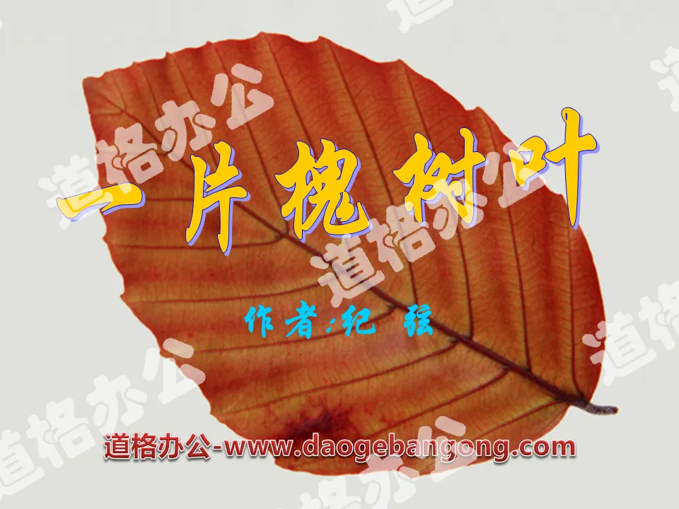"A locust leaf" PPT courseware