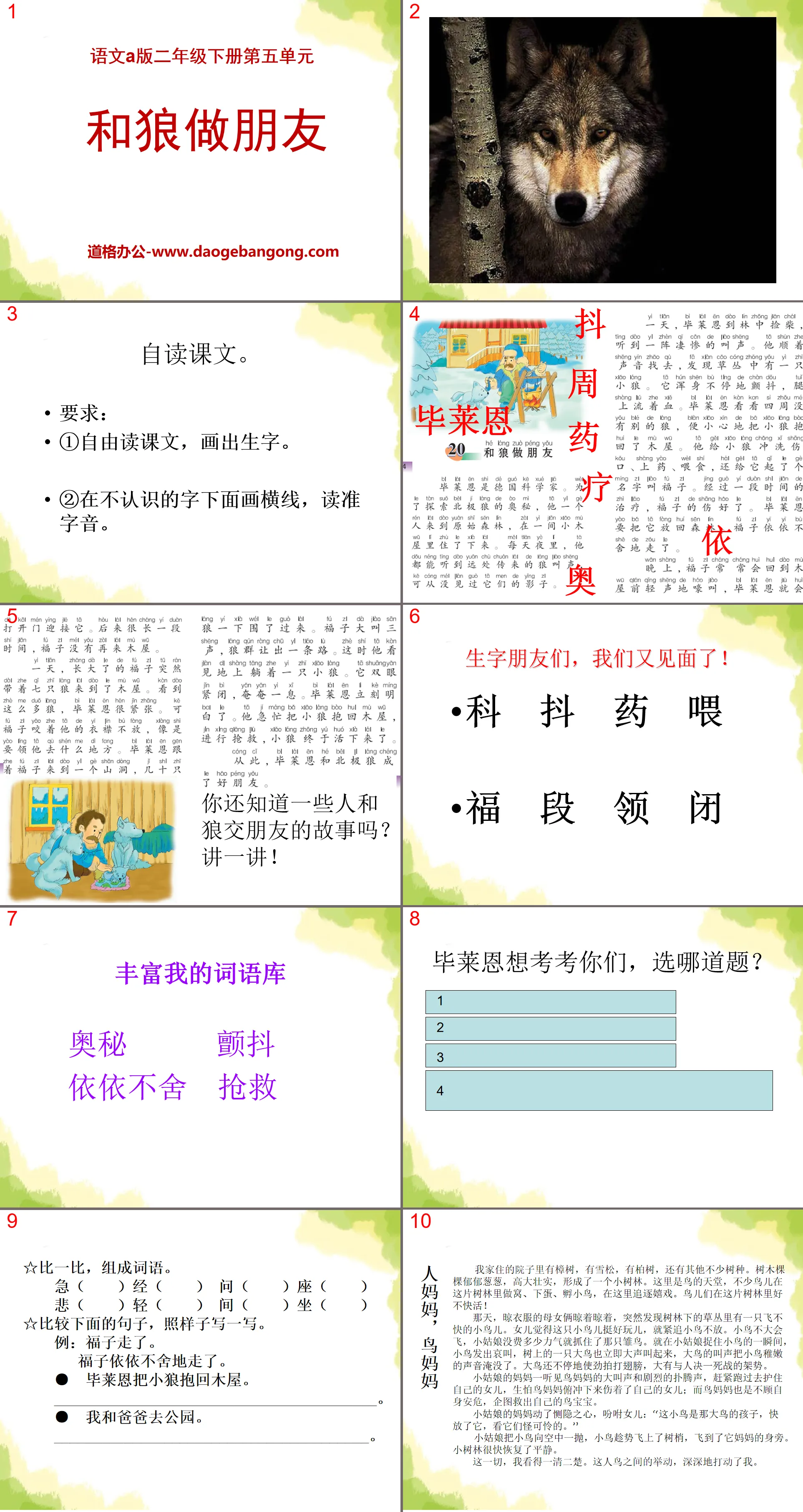 《和狼做朋友》PPT課件