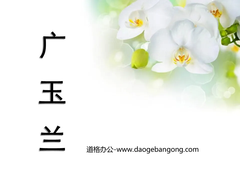 Cours PPT « Magnolia Guang » 4