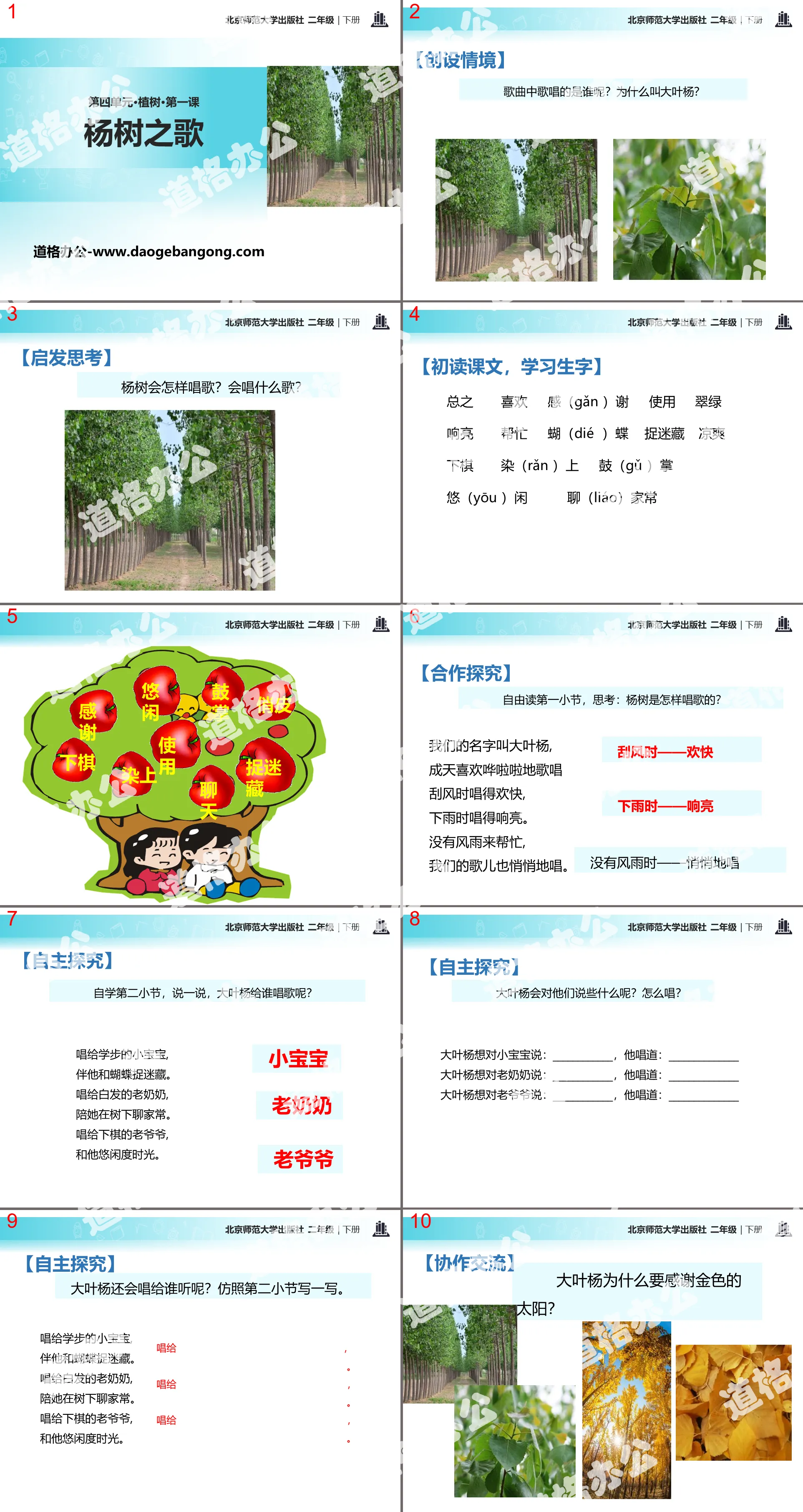 《杨树之歌》PPT
