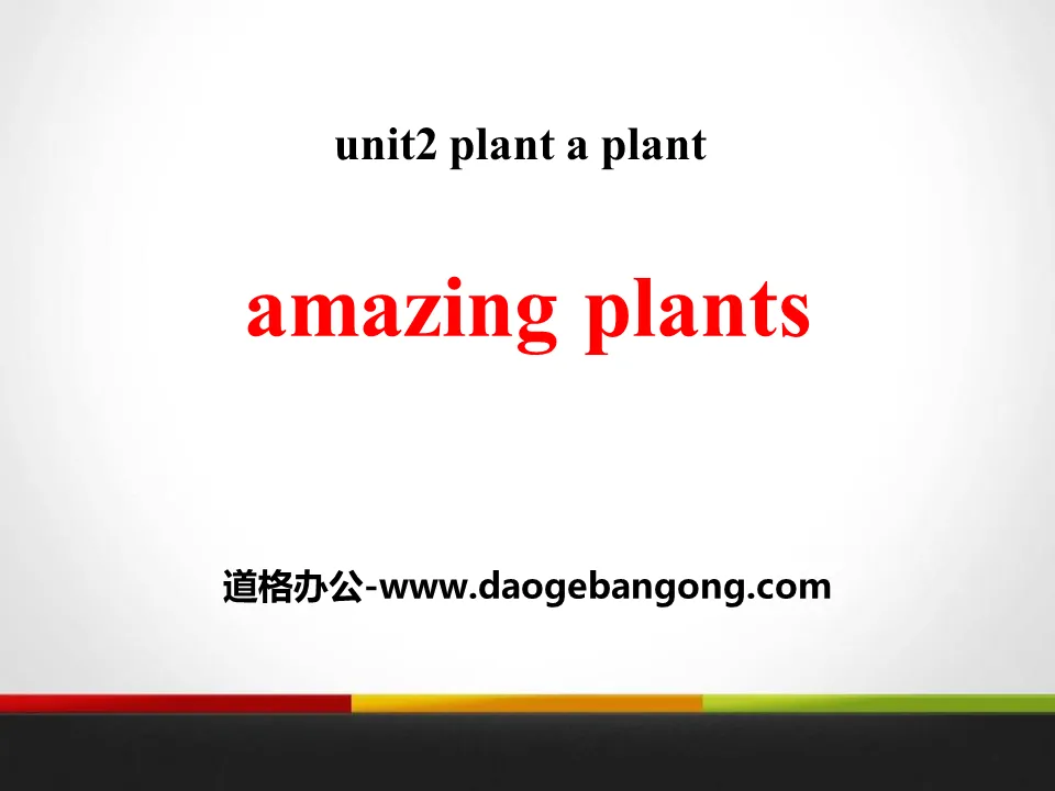 《Amazing Plants》Plant a Plant PPT
