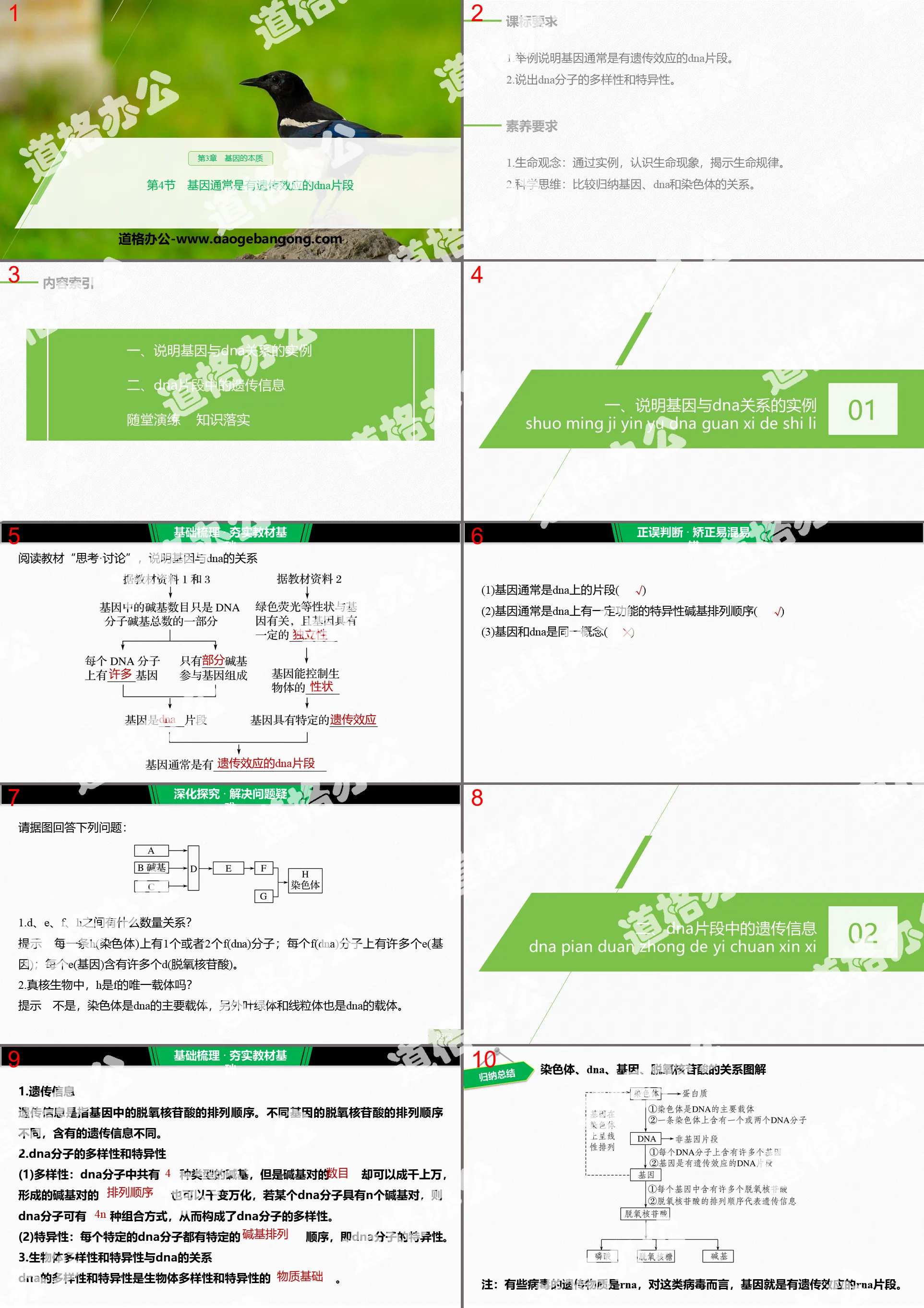 《基因通常是有遗传效应的DNA片段》基因的本质PPT