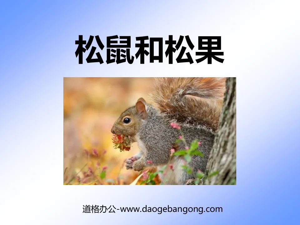 "Squirrel and Pine Cone" PPT Courseware 5