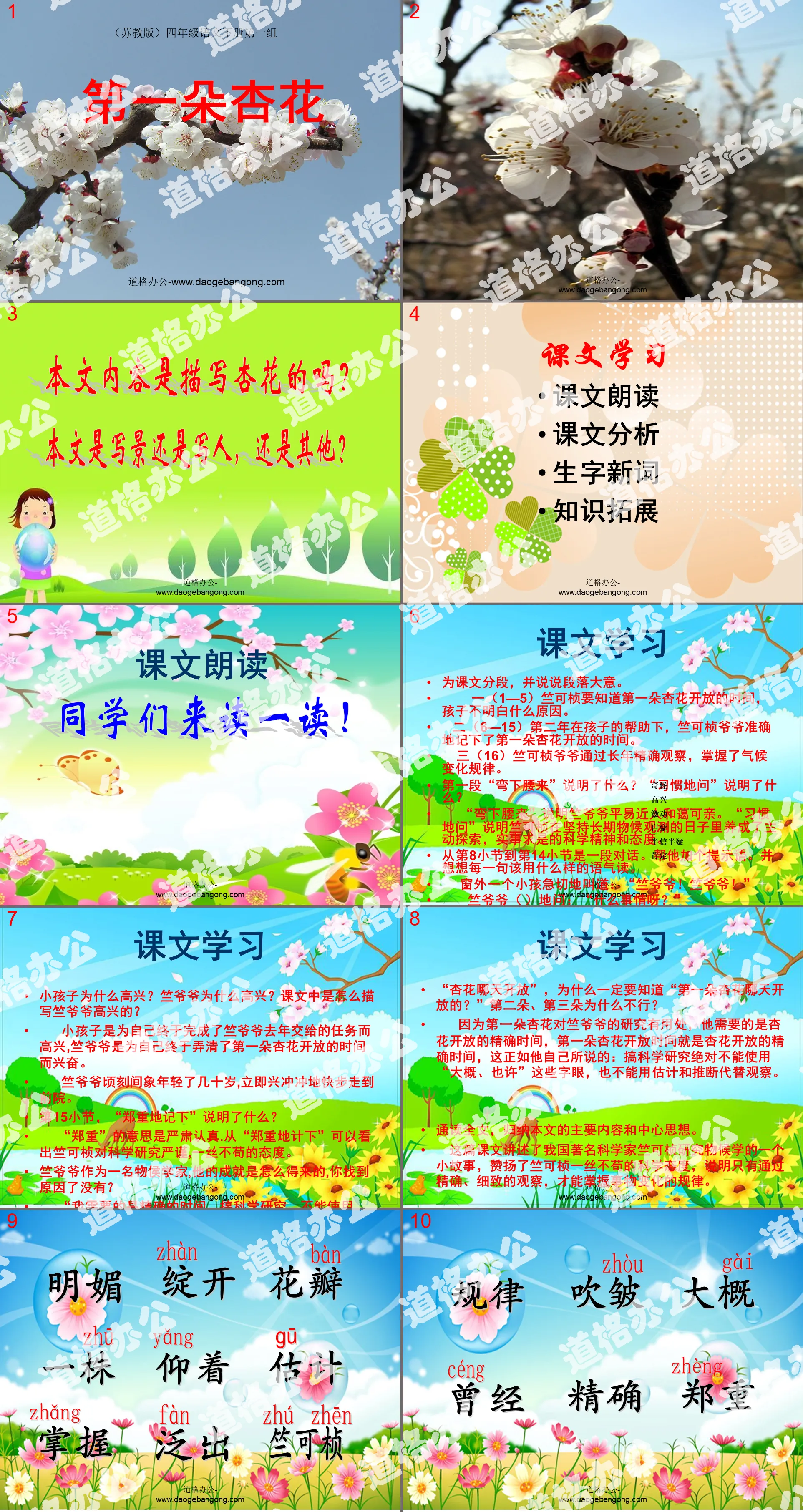 "The First Apricot Blossom" PPT Courseware 2