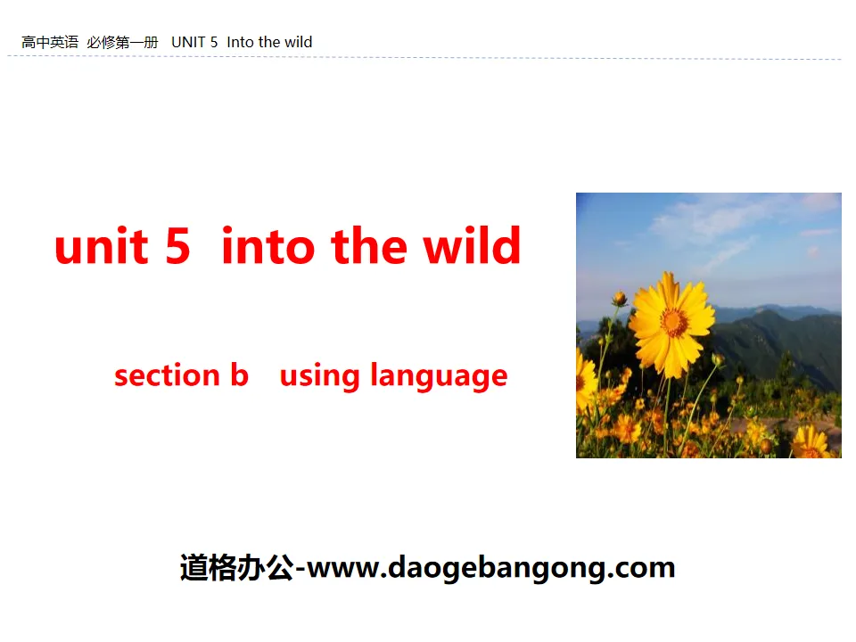 《Into the wild》Section B PPT
