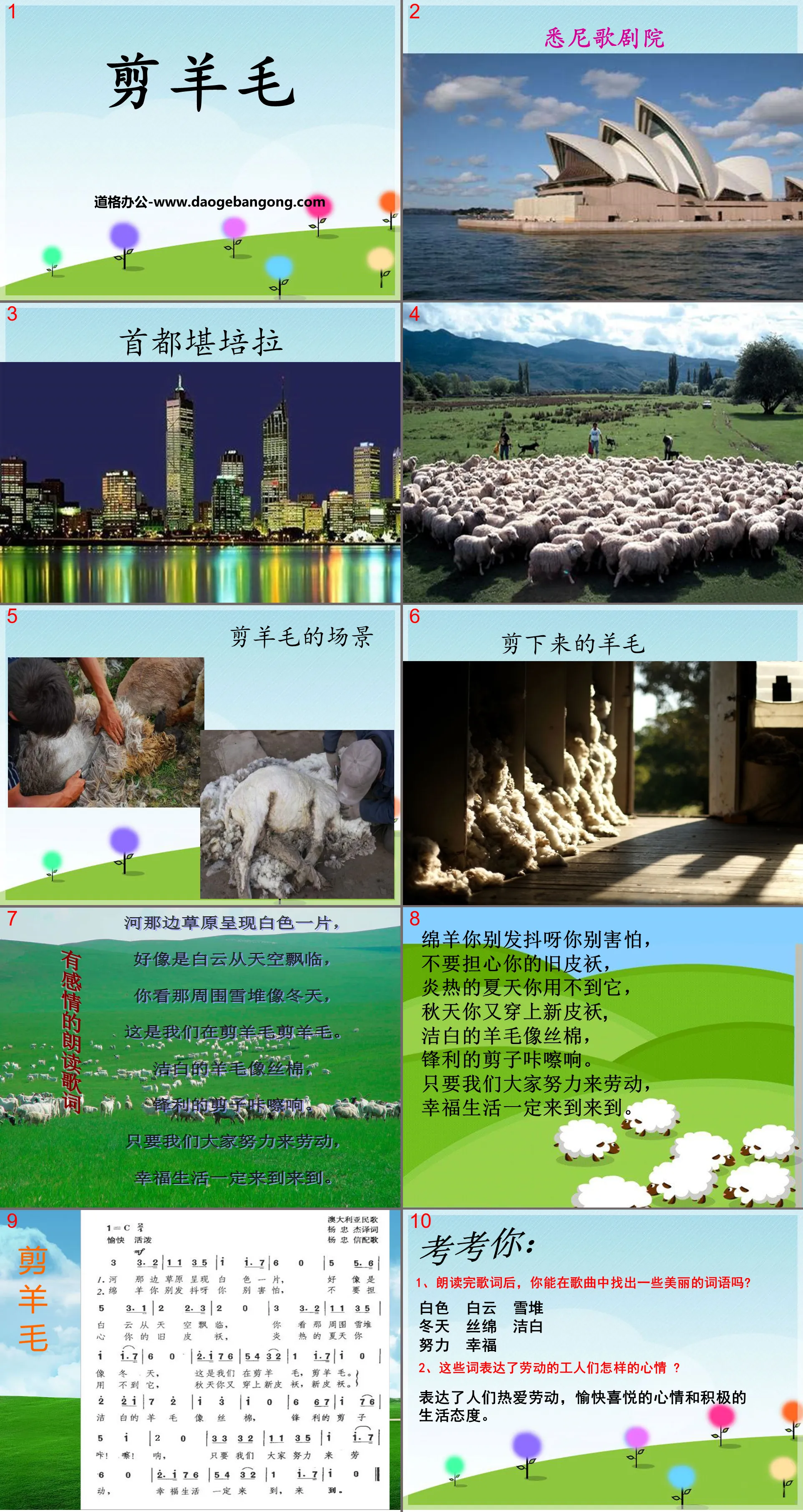 "Sheep Shearing" PPT courseware