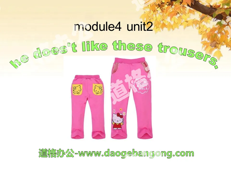 "He doesn't like these trousers" PPT courseware 2