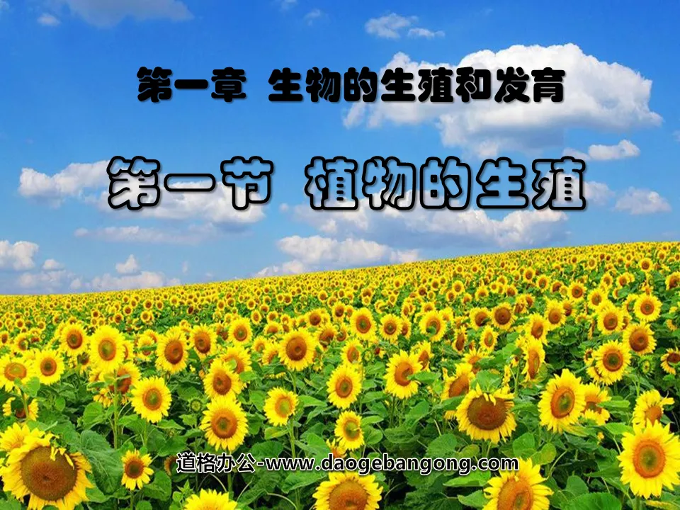 《植物的生殖》生物的生殖和发育PPT课件3
