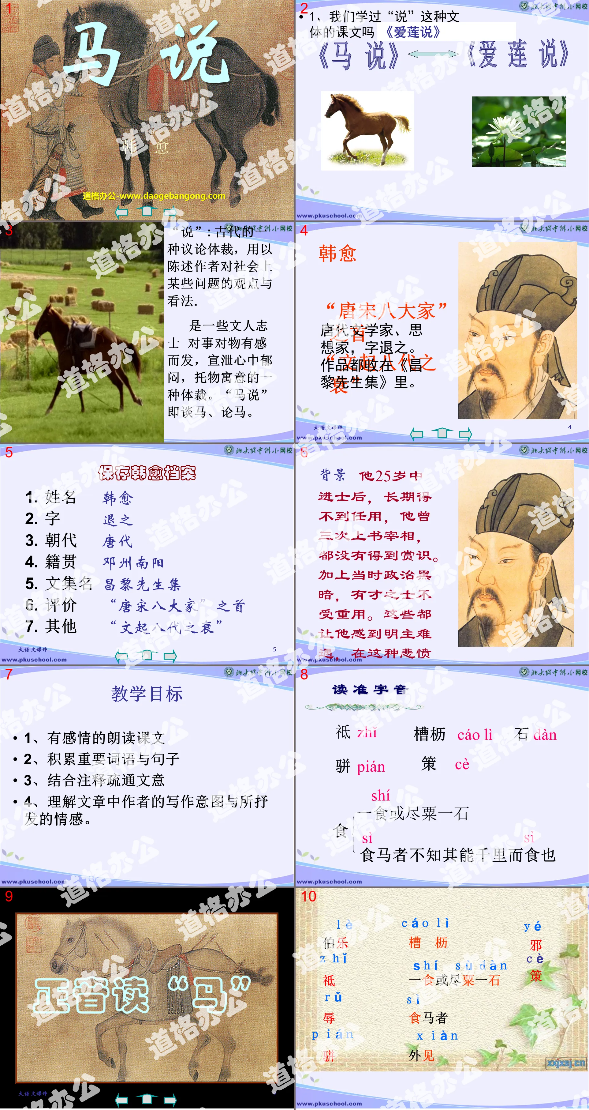 "Horse Talk" PPT Courseware 4