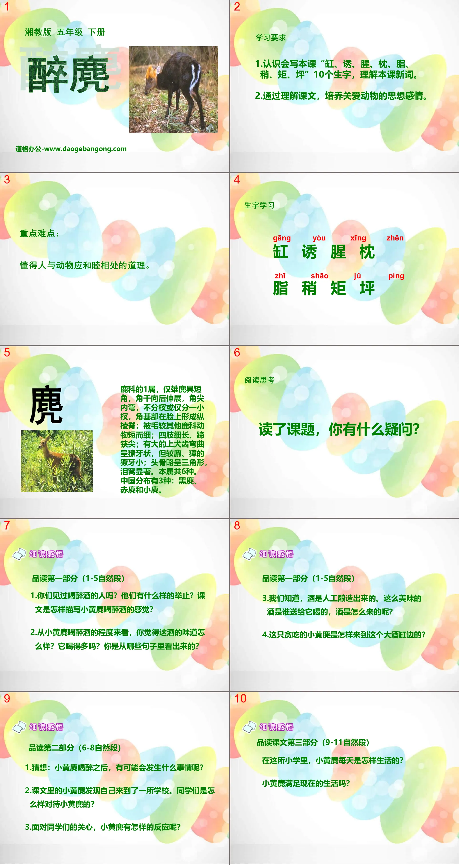 《醉麂》PPT课件3