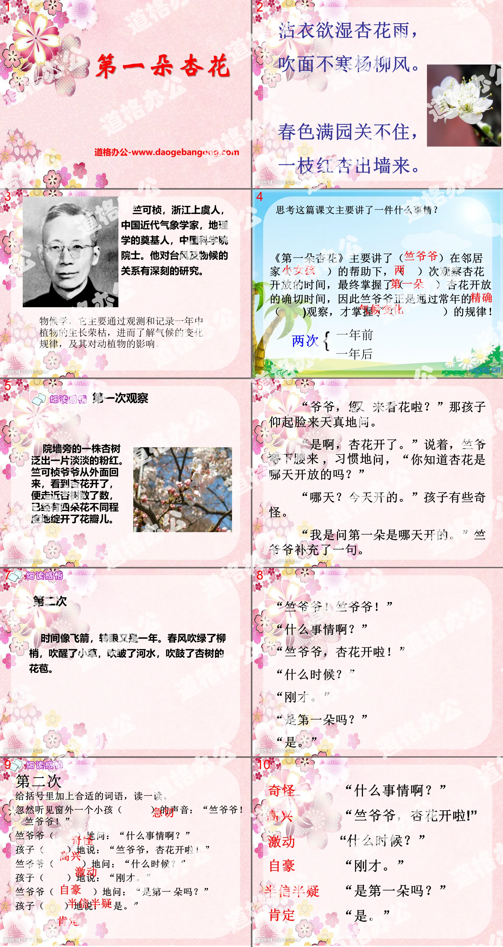 "The First Apricot Blossom" PPT Courseware 7